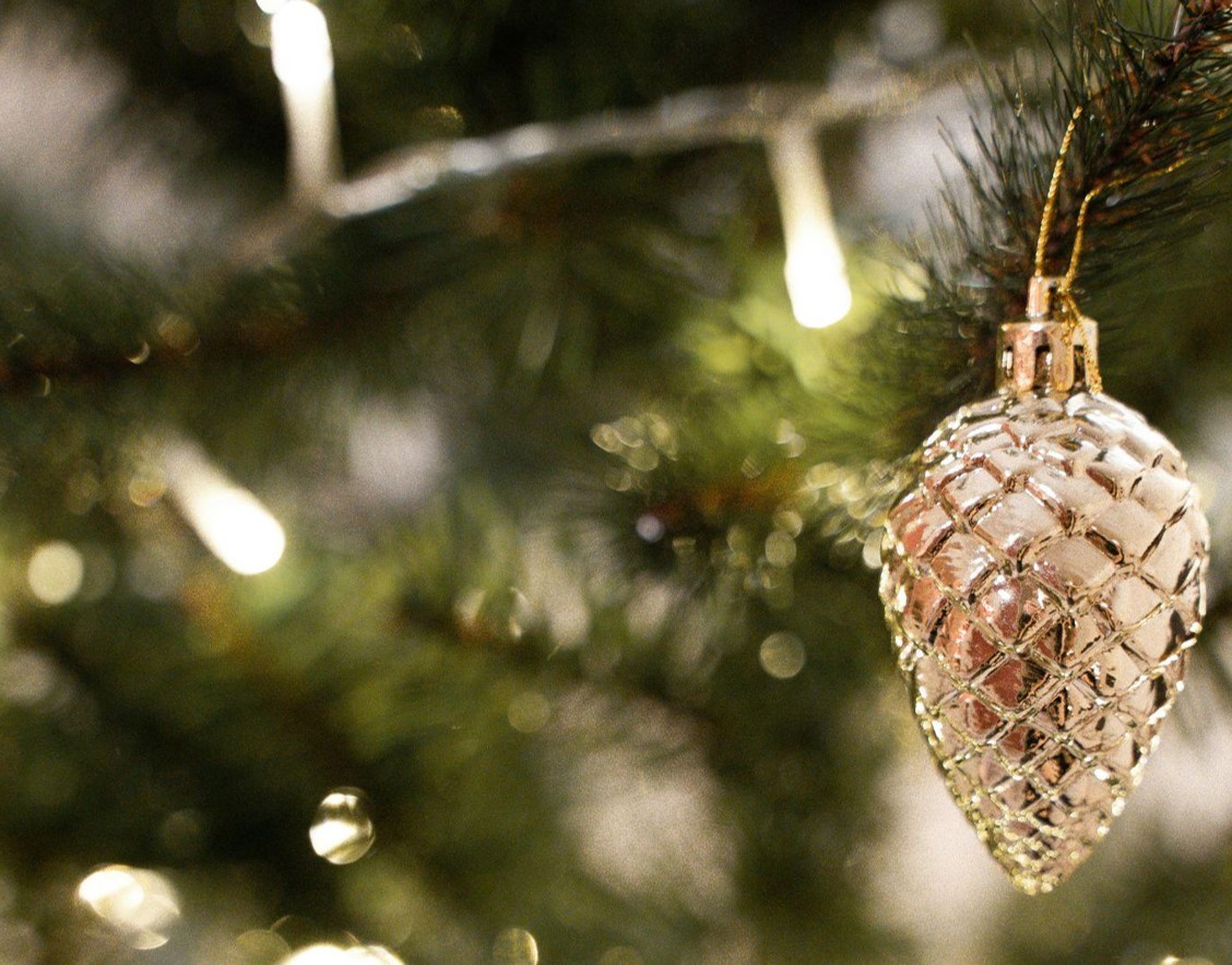 Find the Perfect Christmas Tree for Sale This Holiday