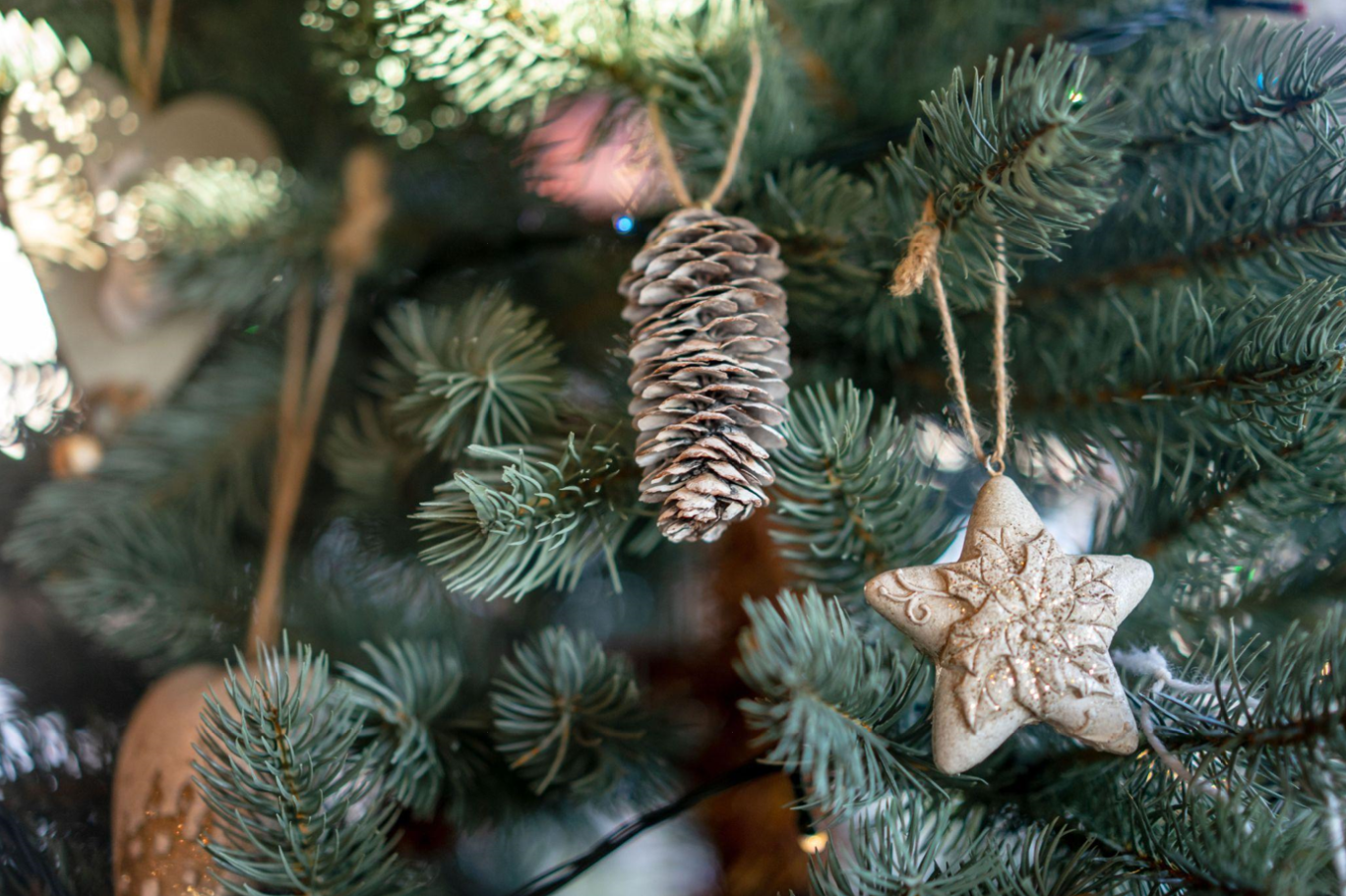 Find Your Perfect Flocked Christmas Tree on Clearance